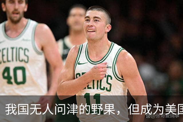 我国无人问津的野果，但成为美国人的心头宝，60元1斤供不应求？